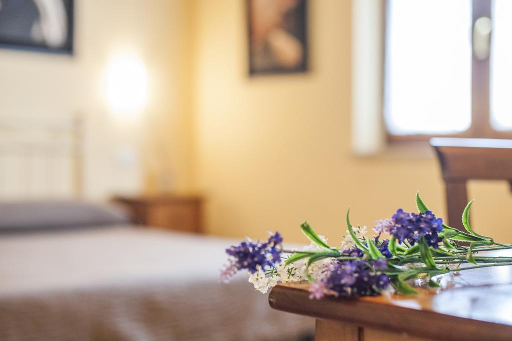 Villa Tuscany シエーナ エクステリア 写真